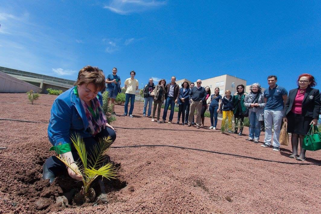 Después de la reunión del 29 de mayo de 2015, ¿qué? Después de la reunión del 29 de mayo de 2015, ¿qué?