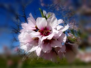 IMG_1668