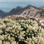 Call for Chapters: Instilling Diversity and Social Inclusion Practices in Teacher Education and Curriculum Development